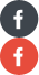 Professional paint centre social media link1