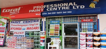 Professional paint centre tanzania mbezi branch